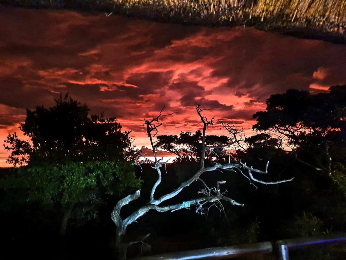 636 Itaga Safari Lodge, Mabalingwe Nature Reserve Mabula Game Reserve Buitenkant foto