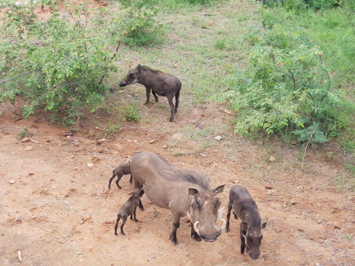 636 Itaga Safari Lodge, Mabalingwe Nature Reserve Mabula Game Reserve Buitenkant foto
