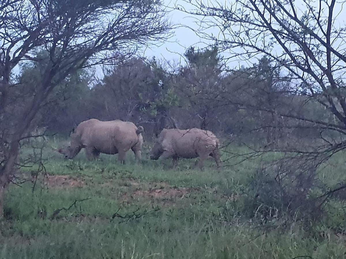 636 Itaga Safari Lodge, Mabalingwe Nature Reserve Mabula Game Reserve Buitenkant foto